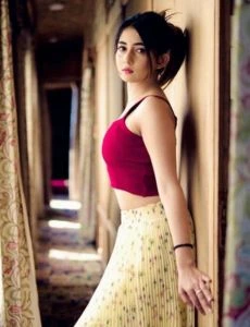 Call Girls Vivek Vihar